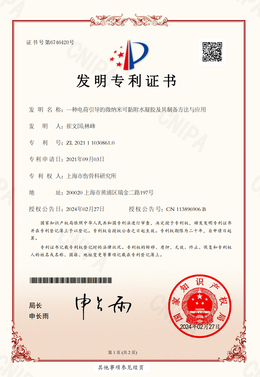 一种电荷引导的微纳米可黏附水凝胶及其制备方法与应用