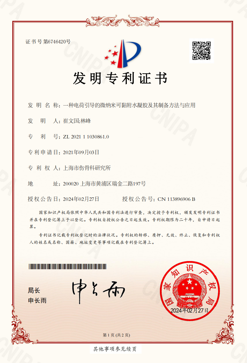 一种电荷引导的微纳米可黏附水凝胶及其制备方法